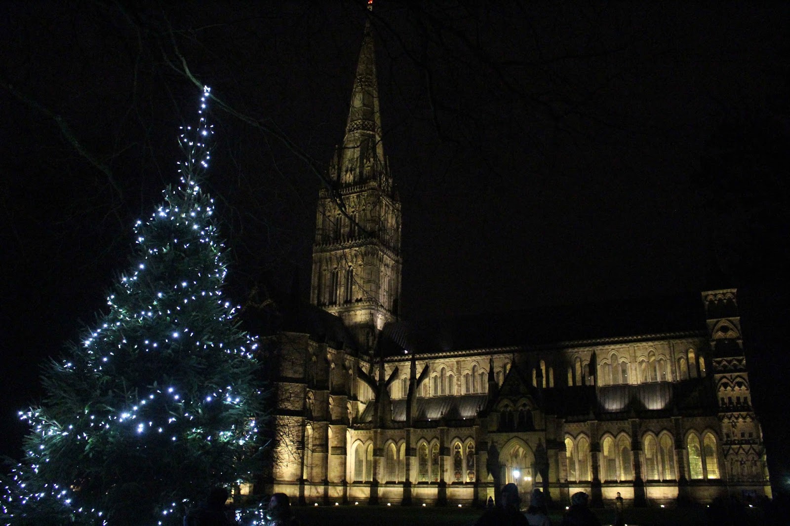 sconzani Christmas carols in Salisbury Cathedral