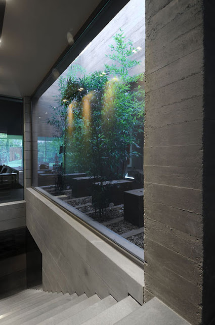 Xardinnova: PATIOS QUE NOS INUNDAN DE LUZ