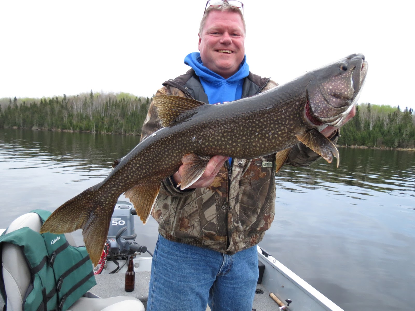 Black Bear Lodge Blog Biggest Lake Trout 2017