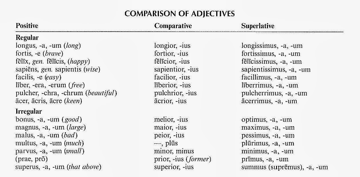 latin-grammar-adjectives-dropout-latin