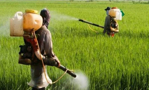 Two Death by pesticides at Thiruvalla, News, Local-News, Farmers, hospital, Treatment, Dead, Obituary, Kottayam, Medical College, Kerala