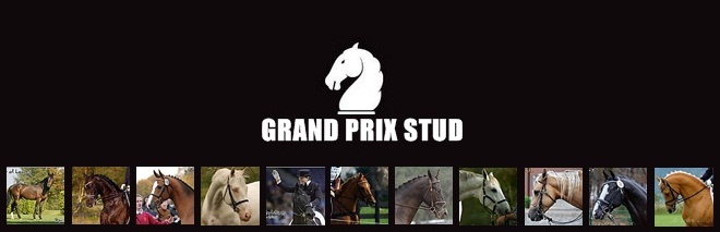 Grand Prix Sport Horse Stud