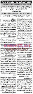 وظائف خالية فى جريدة الوسيط مصر الجمعة 19-06-2015 %25D9%2588%2B%25D8%25B3%2B%25D9%2585%2B8