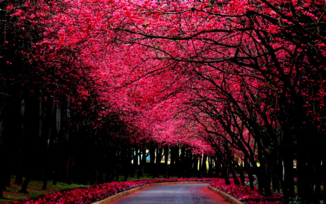 beautiful nature wallpapers for desktop free downloaddesktop