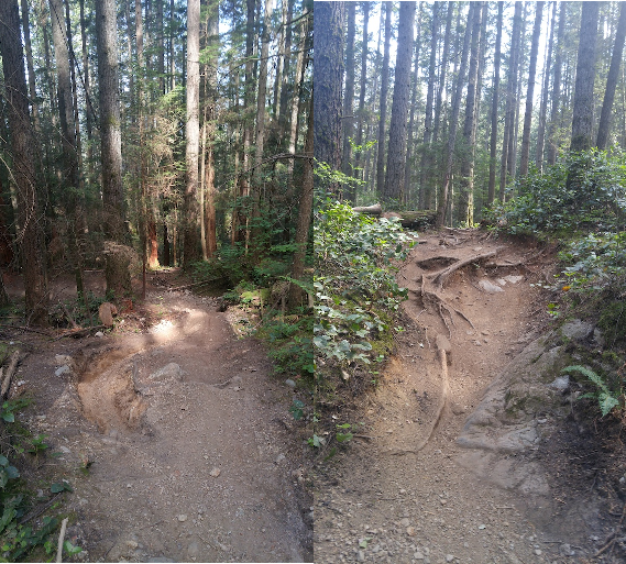 MTB-inflicted Erosion, Environmental & Liability Issues