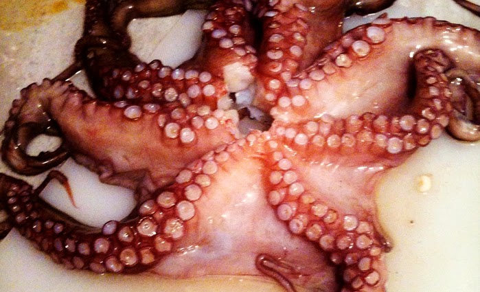 Ahtapot Nasıl Temizlenir MAVİYE TUTKUN