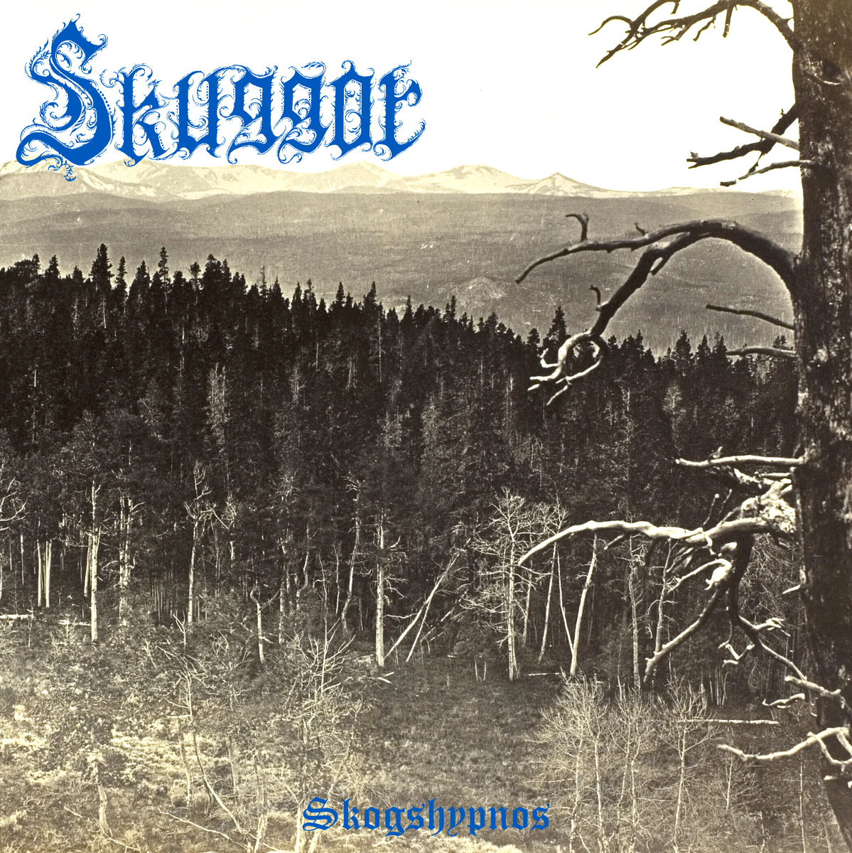 Skuggor - "Skogshypnos" - 2023