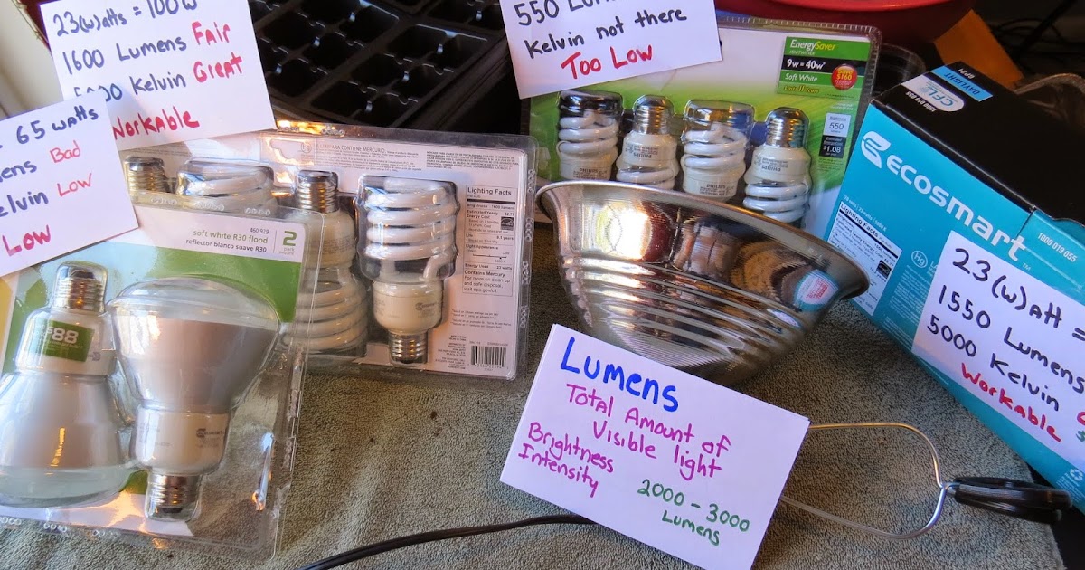 grow light lumens for seedlings