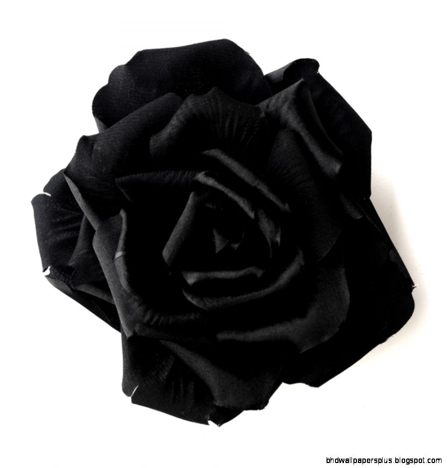 Black Flower Hair Clip 428