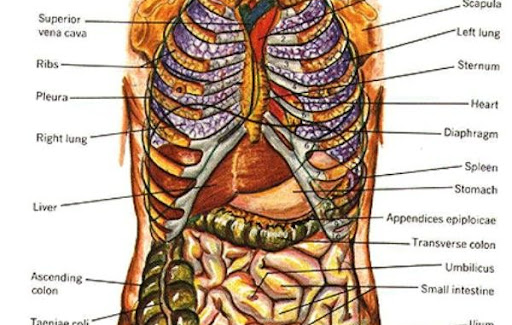 K Light Codex Pack 32 : K Lite Codec Pack Download
