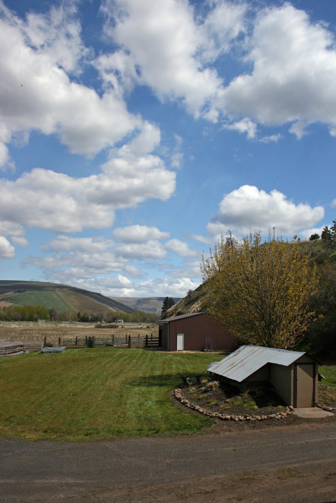Log Home For Sale Dayton, Washington