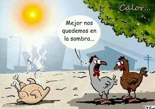 los Nuevos Memes por el Calor Intenso 2017 - Chuncheria y media