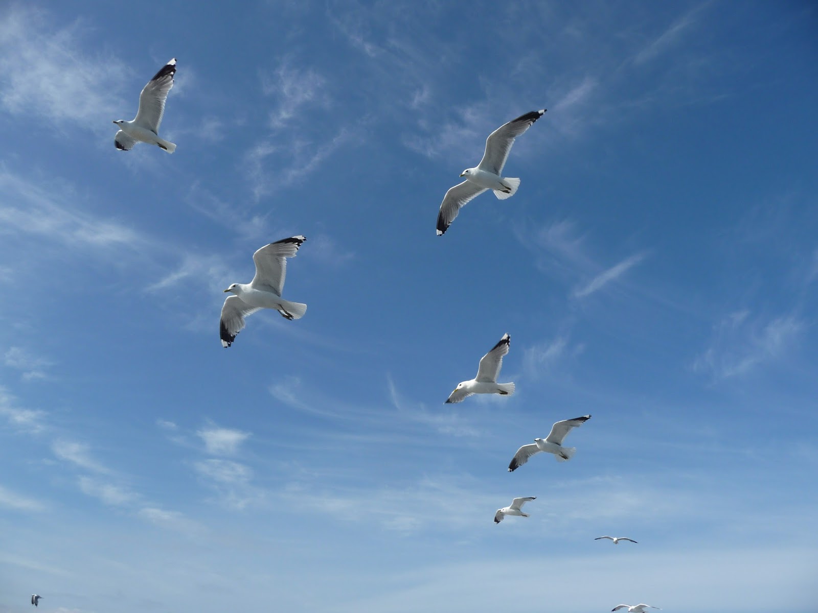 Заполярье 2016. "Край Земли". Алкомототур.