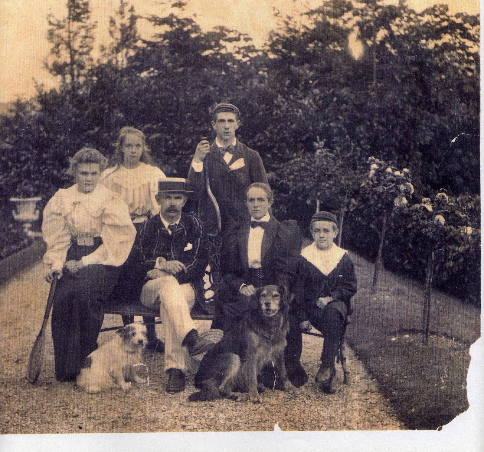 Davison Family History Davison Family Origins