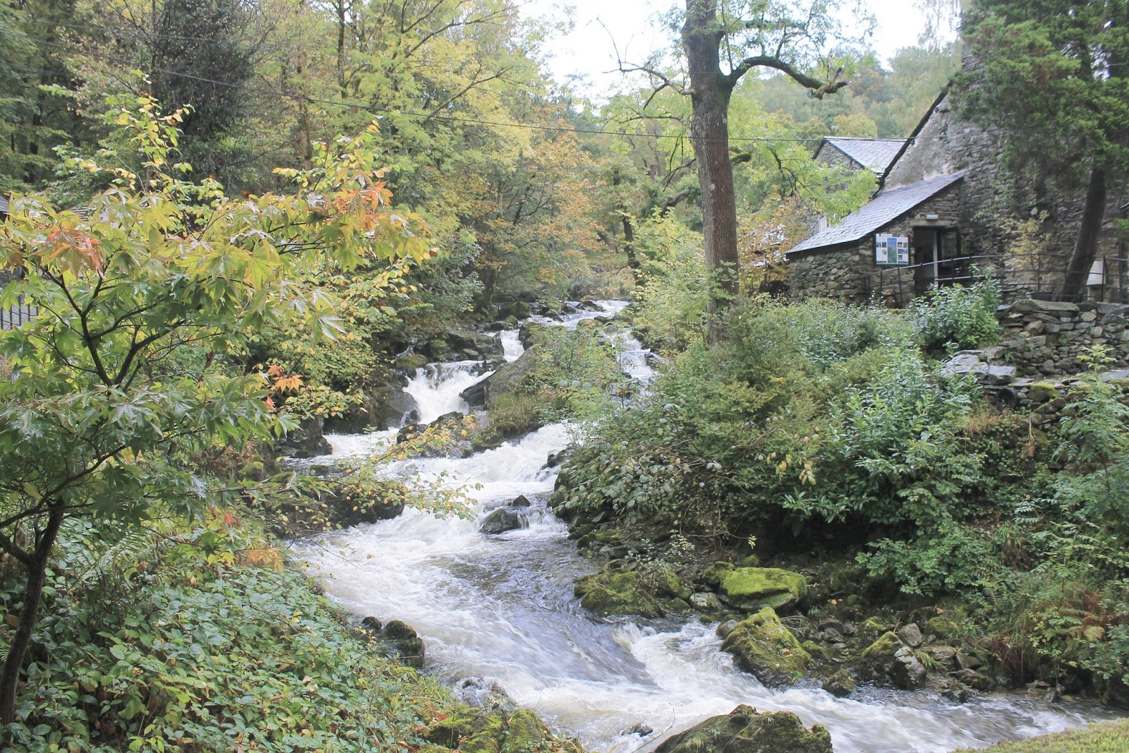 Lake District autumn diary