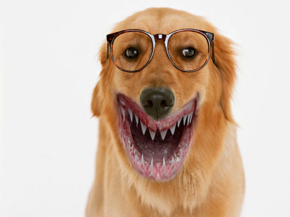 Big C's Blog of Joyous Love and Happenstance.: Famous people with Shark