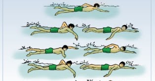 Renang Gaya Bebas Pengertian Teknik Dasar Tips Artikel Materi