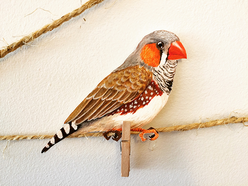 Jessica's//Scatchbook Zebra Finch