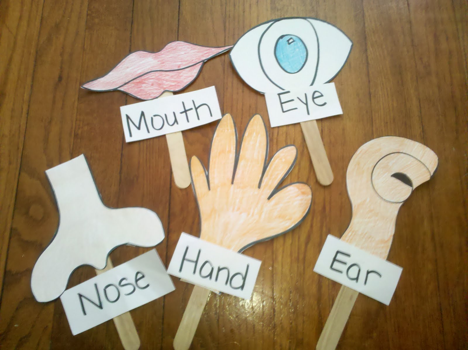Roehamnapers 5 Senses On Popsicle Sticks Roehamnapers 5 Senses On Popsicle Sticks