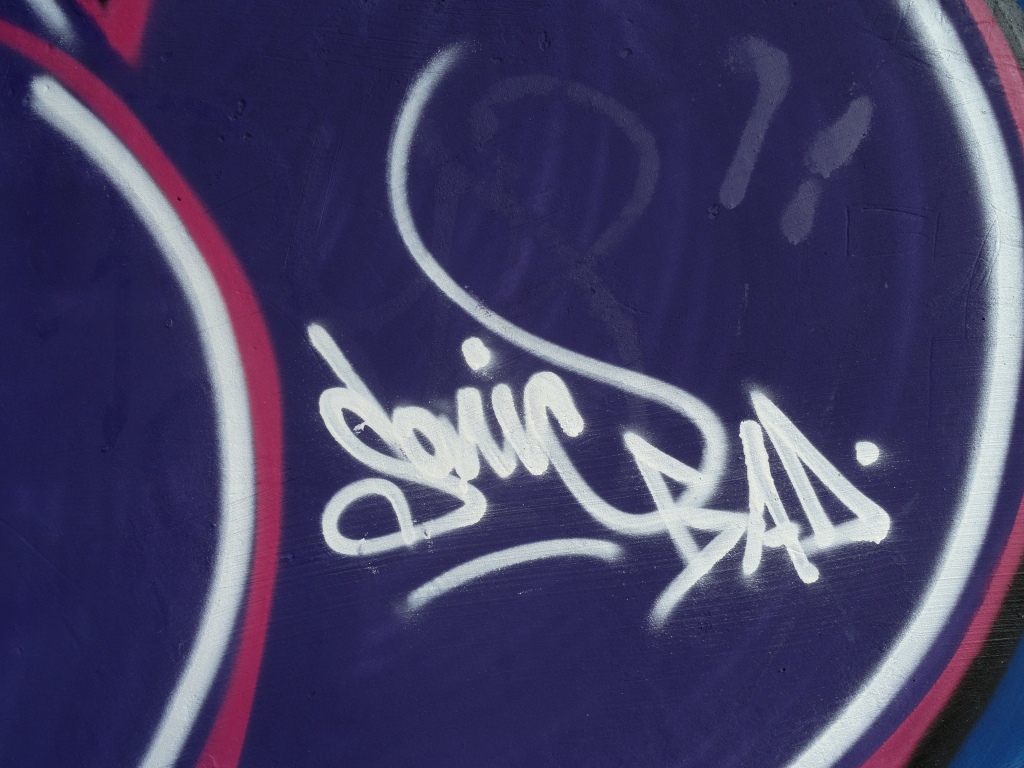 SONIC Graffiti on trains