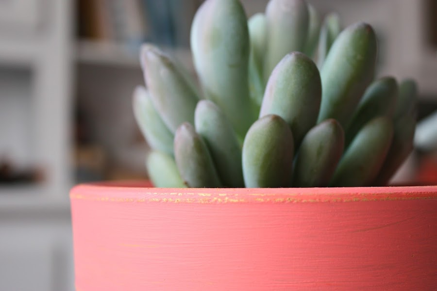 http://mediasytintas.blogspot.com/2016/06/diy-personalizar-una-maceta.html