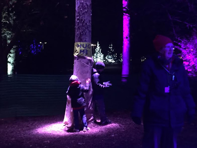 Hugging a tree causes the tree to turn different colors during Illumination at The Morton Arboretum.