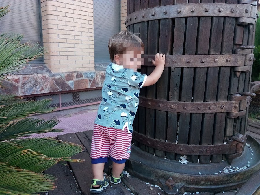 Polo medusas handmade niños