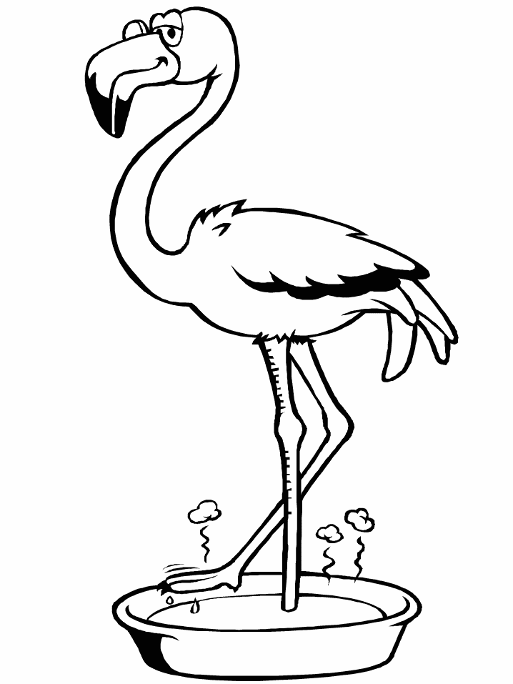 Kids Flamingo Coloring Pages