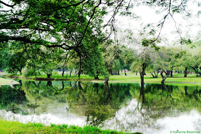 A Local Fishing in Ayutthaya