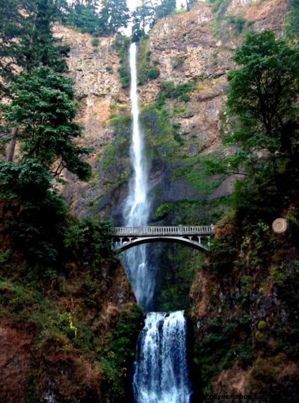 The Beauty of Nature Waterfalls Photography