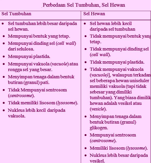  Apa  Perbedaan  Sel  Hewan  Dan  Tumbuhan  lihat Gambar 