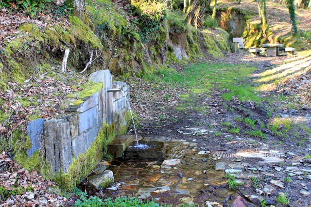 fuente-castroverde-camino-de-santiago-primitivo