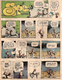 Rate my professor image