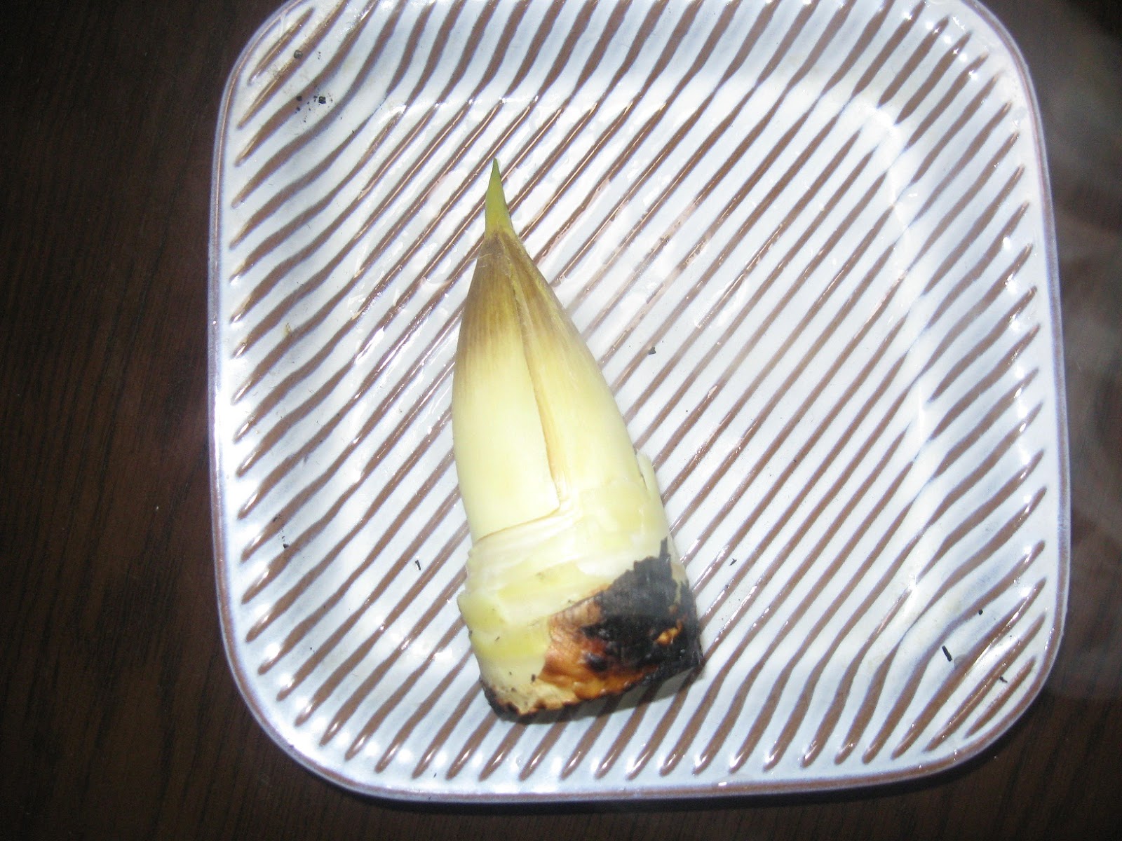MY REAL JAPAN Takenoko 筍 （Bamboo Shoot ) Wild edible plant 2