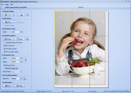 ronyasoft poster printer proposter 3.01 full keygen