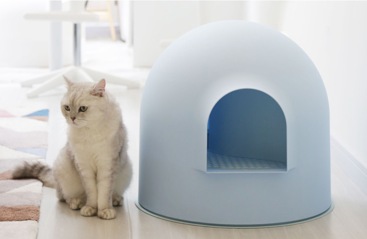 Introduce a Cat to a New Litter Box Introduce a Cat to a New Litter Box