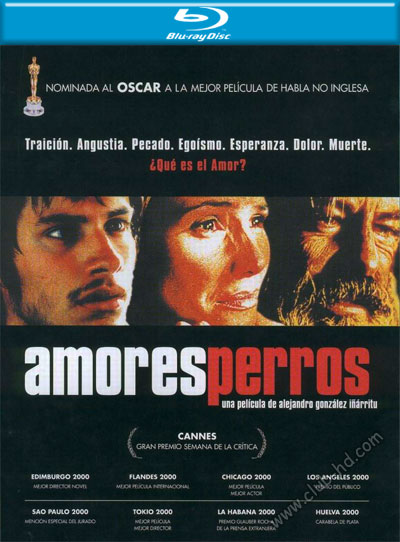 Amores_Perros_POSTER.jpg