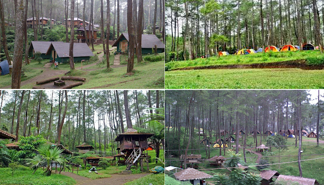 Grafika Cikole Lembang Wisata Terpadu Dalam Satu Kawasan Grafika Cikole Lembang Wisata Terpadu Dalam Satu Kawasan