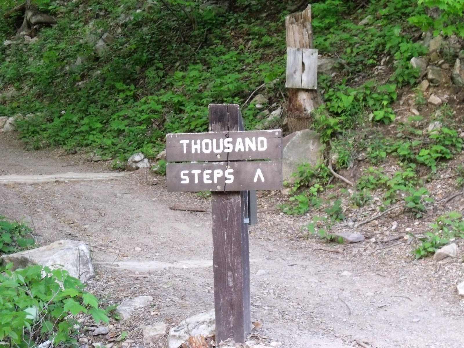 Discovery PA: 1000 Steps Hiking Trail