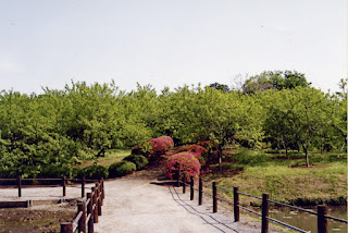 Vue d'un jardin du Parc de Koga de NAKAMURA Yoshio