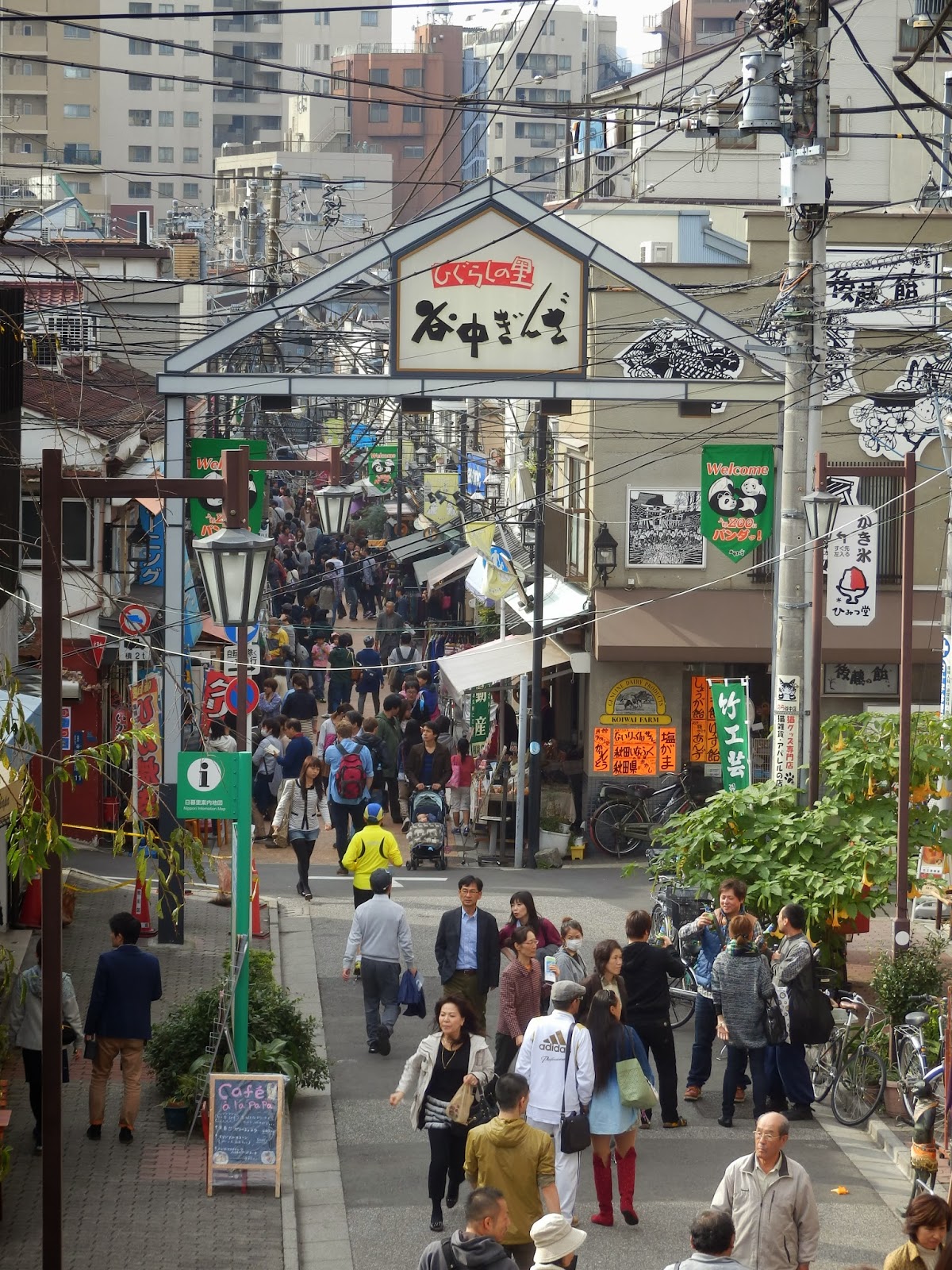 Something about Japan Tokyo towns you should visit ①： Yanaka, the cats' town