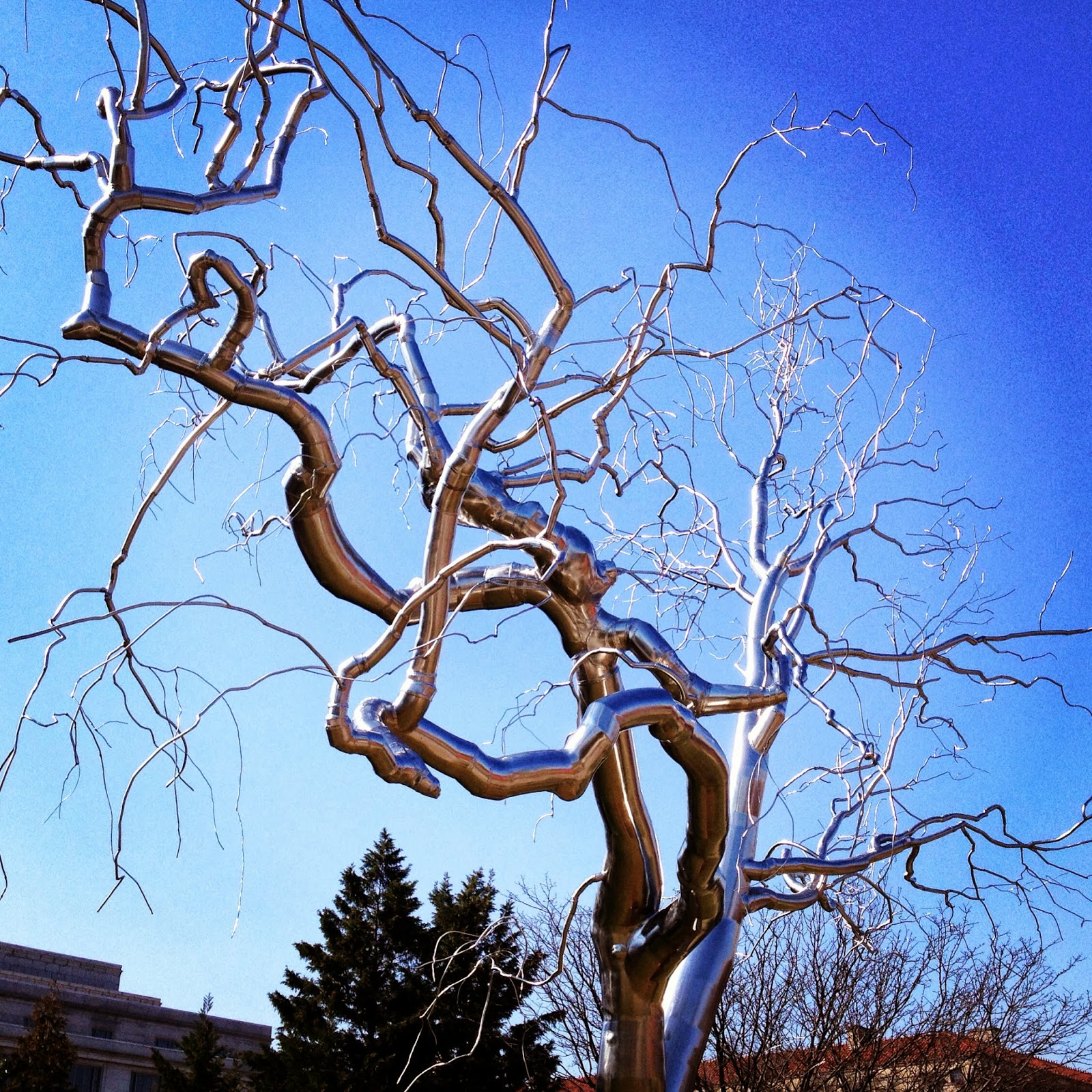Avid Reader's Musings Wordless Wednesday Tree Sculpture
