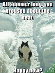 winter funny cat humor cold happy animals snow cheezburger cats memes snowy cute hilarious sharick huh emily heat horse jokes