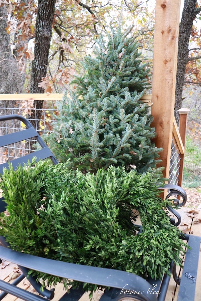 Botanic Bleu Botanical Christmas Decor