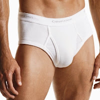 calvin_klein_basic_briefs_3_pack_small.jpg
