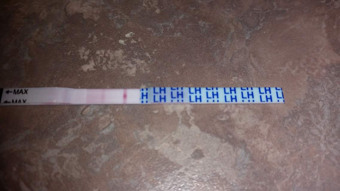 Mommy Impressions EasyHome Ovulation kit