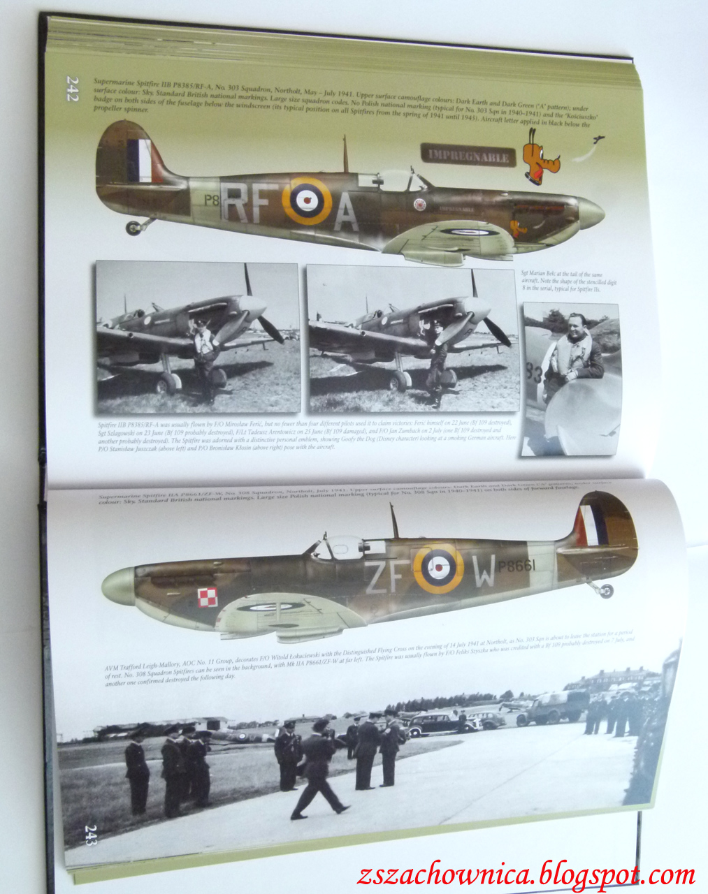 Modele z Szachownicą: Recenzja książki „POLISH FIGHTER COLORS vol. 1 ...
