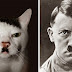 صور طريفة لقطط تشاركت مع مشاهير في ملامحهم