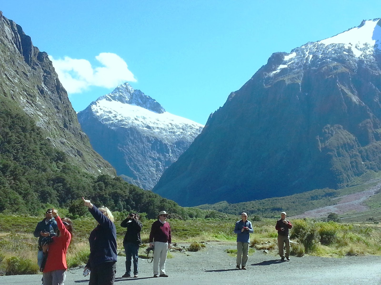 The Nest NEW ZEALAND ONE OF THE BEST