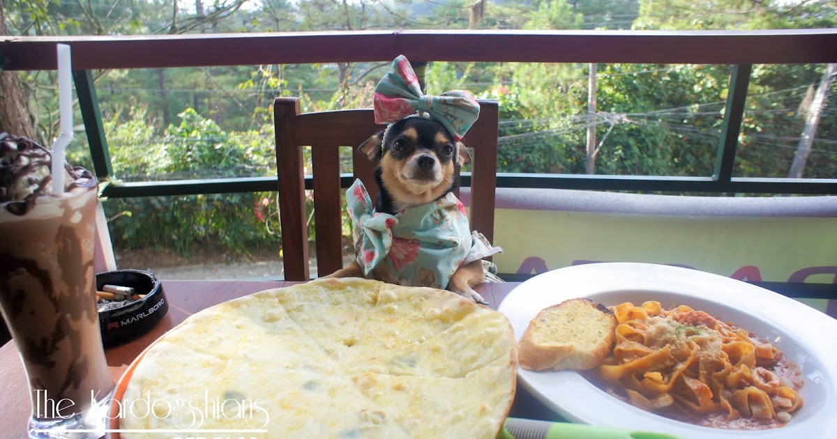 places to eat dog friendly near me